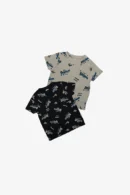 Boys Chest Print/All Over Print  T-Shirt (pack of 2) Combo