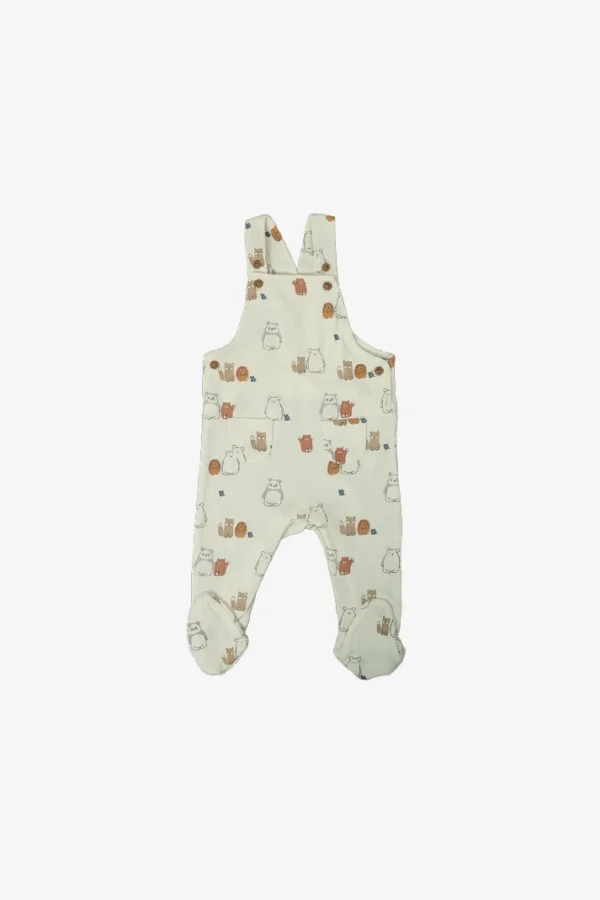 Cartoons Printed Dungaree